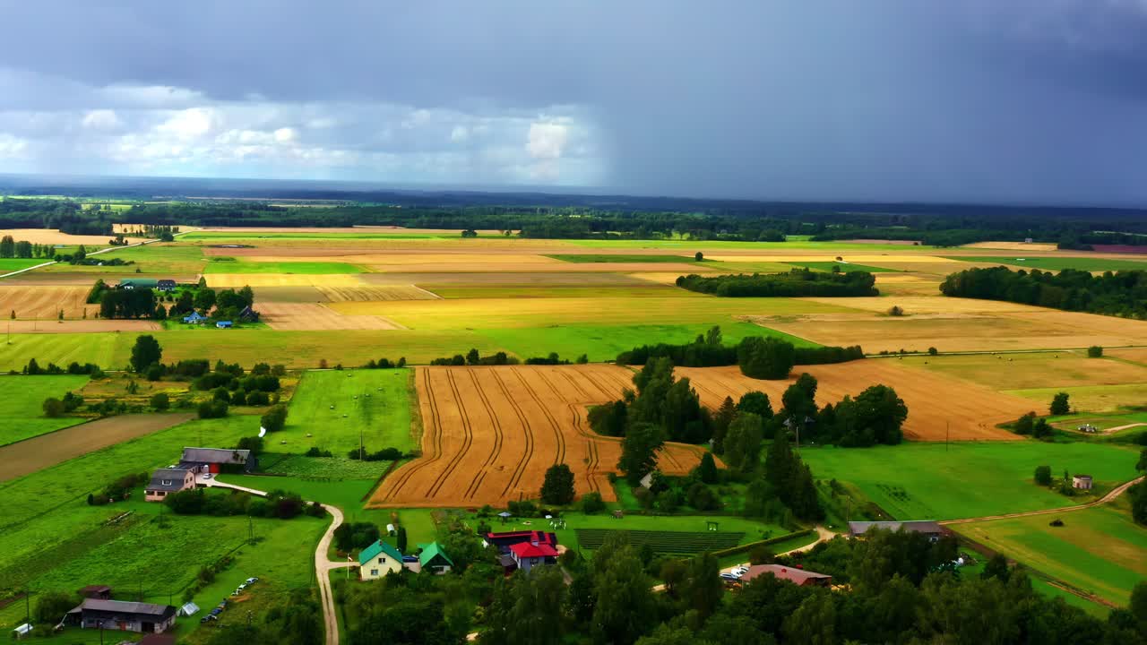 Vast farmland with golden fields and dramatic rain clouds on the horizon in aerial view
