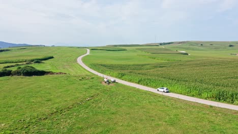 Erstklassige-Luftdrohne-Fliegt-über-Den-Feldern-Von-Alfoz-De-Lloredo,-Kantabrien,-Nördlich-Von-Spanien,-Während-Ein-Auto-Eine-Kleine-Friedliche-Straße-Durchquert