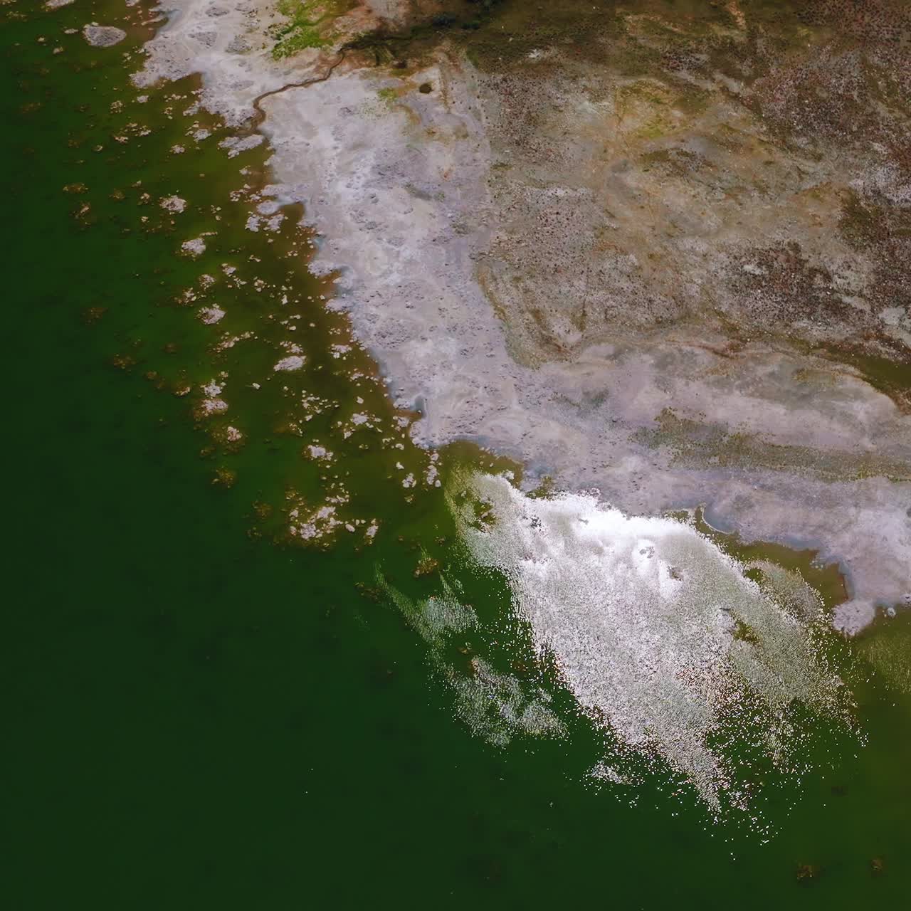 Green and blue water of Mono Lake in California, United States. Bare shore of the lake covered with layer of salt. Top view