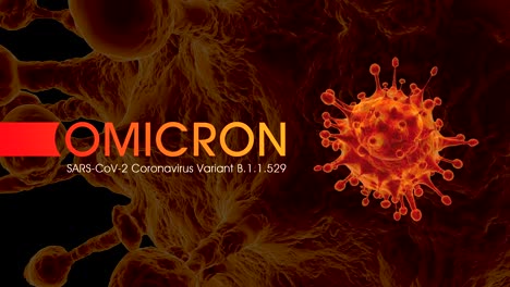 sars-cov-2 coronavirus variant omicron b.1.1.529