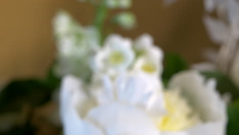 bouquet of white flowers, moves in to focus, close up