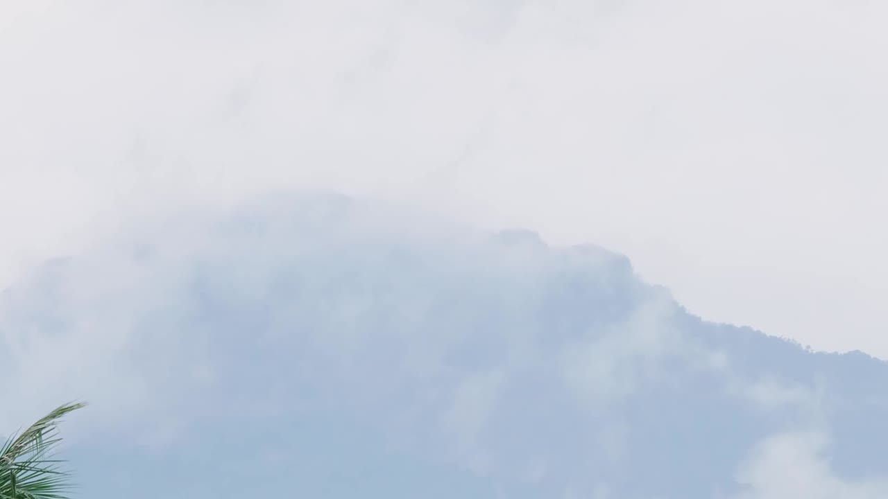 안개로  ⁇ 여 있는 안개 같은 산을 천천히 드러내기 위해 확대하고, 태국 시골의 왼쪽에 있는 코코 ⁇  잎의 끝을 보여줍니다.