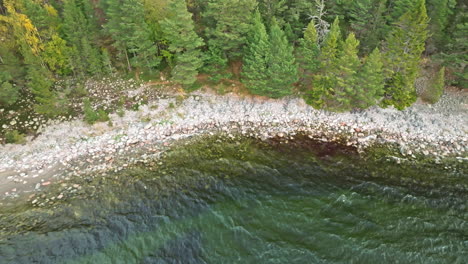 Wind-driven-Waves-To-The-Rocky-Beach-On-The-Coast-Of-Sweden-With-Green-Forest