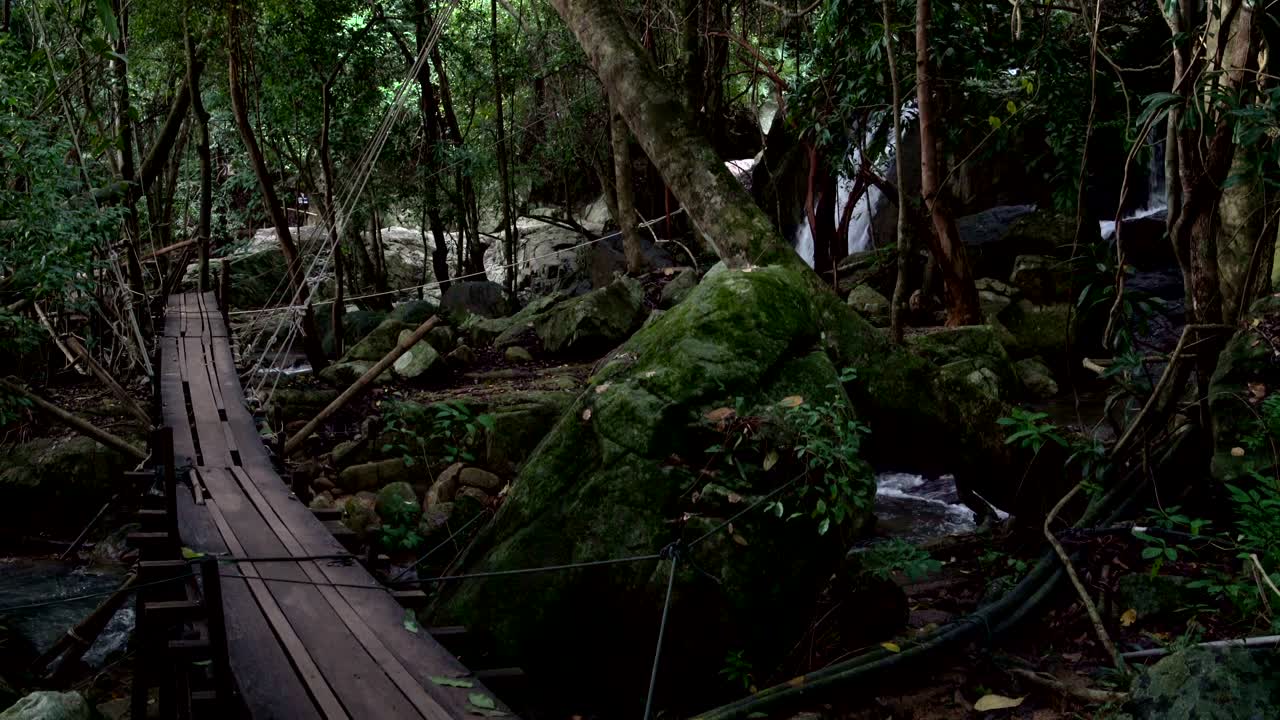 숲 속의 작은 폭포들.