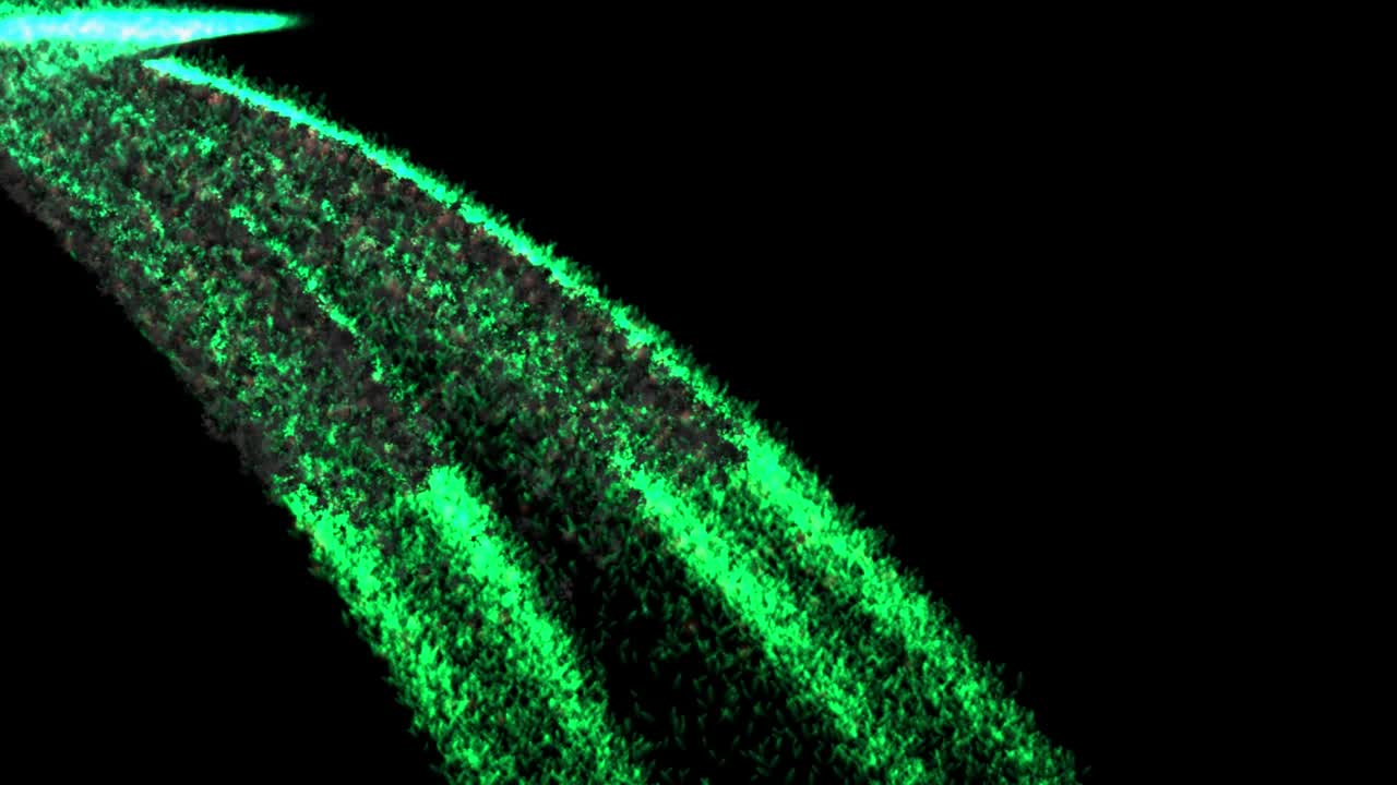 불꽃 컬러 입자 애니메이션 모션 그래픽