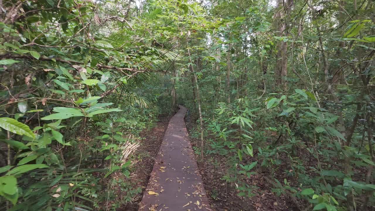 Cat Tien National Park hiking trail Vietnam evergreen forest walk hike Southeast Asia