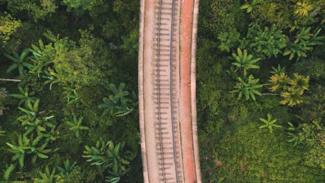 aerial-top-view-of-a-train-line-bridge-surrounded-by-coconut-trees---Nine-Arch-Bridge---Ella,-Sri-Lanka