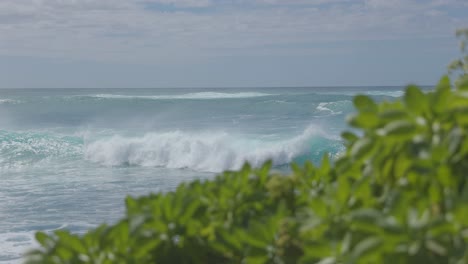 Oahu-Ocean-Beach-Waves-Crashing-in-Distance-Hawaii-Close-Up