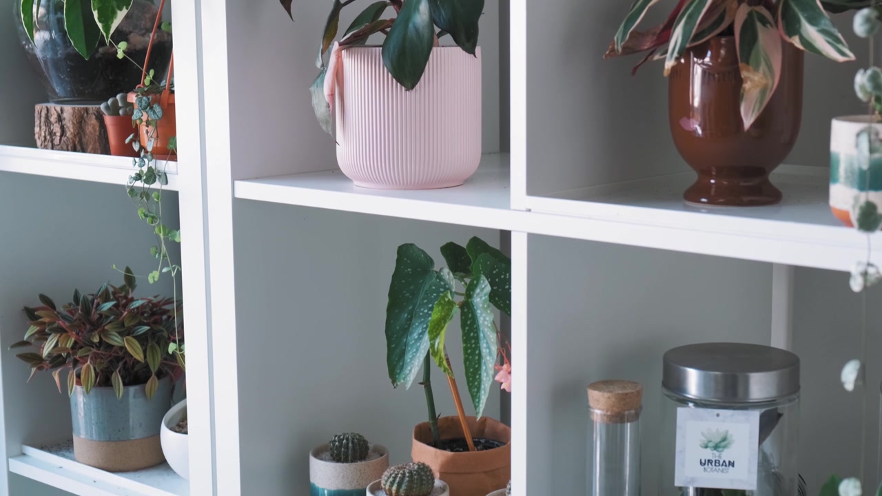Decoración interior elegante con temática de plantas