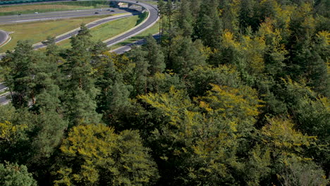 Volando-Sobre-El-Denso-Bosque-Hasta-La-Carretera-Con-Tráfico-Durante-El-Día