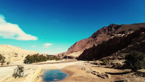 a canyon with a river between mountains and palm trees