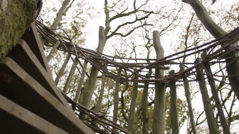 shot going up natural stairway to treehouse