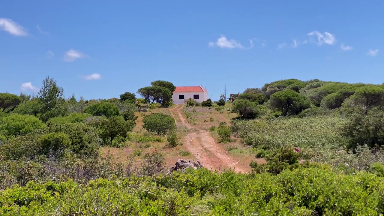 Piccola casa bianca con tetto rosso situata su una collina soleggiata, circondata da arbusti verdi e un sentiero sterrato.
