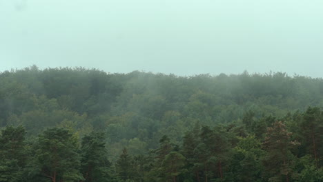 La-Niebla-Sopla-Sobre-Las-Hermosas-Copas-De-Los-árboles-Del-Bosque-Verde,-El-Lapso-De-Tiempo-Se-Aceleró