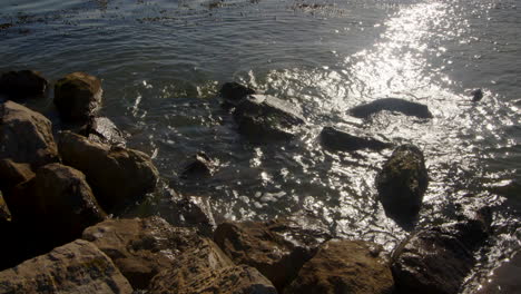 close-up-of-rocks-and-stones-on-the-sea-defence-at-Hythe-Marina-village