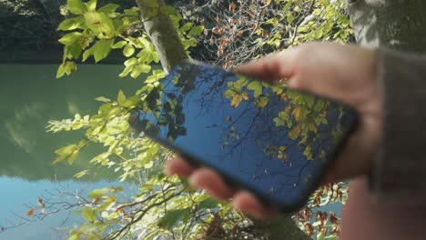 reflejo del teléfono en el bosque - hojas verdes en los árboles que se reflejan en una pantalla de teléfono móvil sostenida por una mujer con el río en el fondo