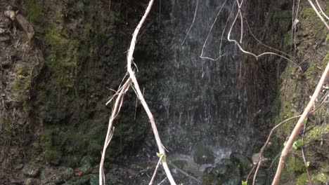 small cascade hidden in the woods with flowing water in slow motion