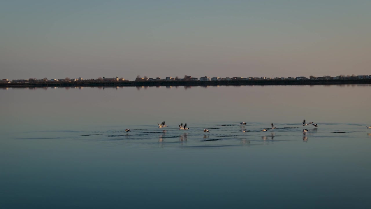 Kameraet panorerer til højre, mens vandfugle letter over den rolige Etang de Thau i Frankrig.