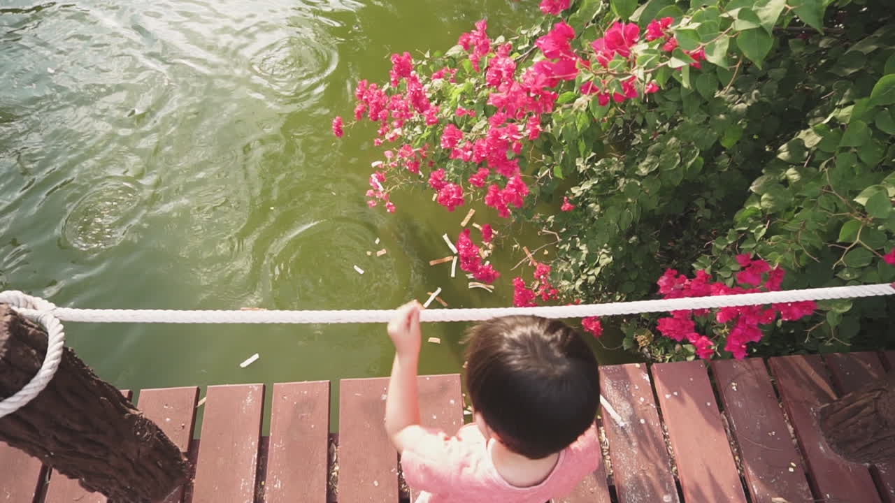 2살 아시아 소년이 야외 공원에서 분홍 꽃이 있는 나무 다리에서 연못에 있는 물고기에게 먹이를 주는 것을 즐기는 슬로우 모션 클립