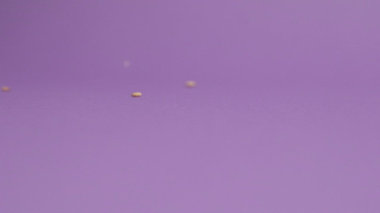 보라색 바탕에 떨어지는 수지 씨