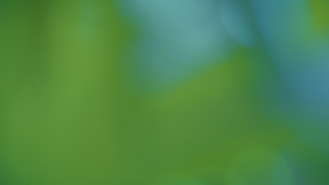 fondo verde y azul borroso, fondo abstracto de bokeh de movimiento