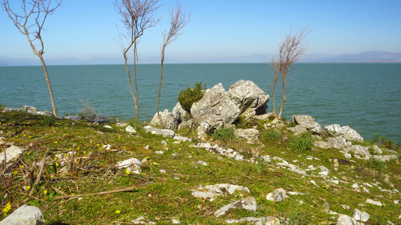 Peaceful landscape on rocky coastline of Skadar lake with yellow flowers, green meadow and stones with water background
