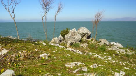 peaceful landscape on rocky coastline of skadar lake with yellow flowers, green meadow and stones with water background