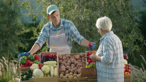 El-Vendedor-Agricultor-Se-Comunica-Con-El-Comprador-En-El-Mostrador-De-Una-Feria-Agrícola.