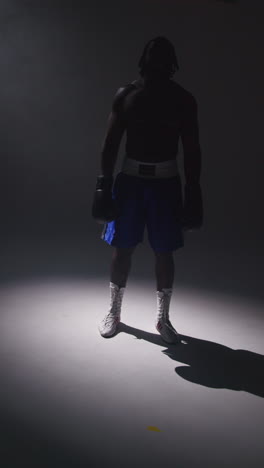 vertical video silhouetted studio shot with low key lighting of boxer wearing gloves standing in pool of light against grey background