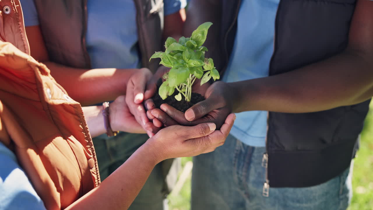 People holding a plant