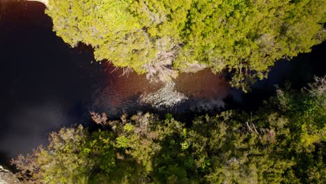 vista cuesta abajo zoom en arroyo de guijarros en un bosque virgen, río rojizo
