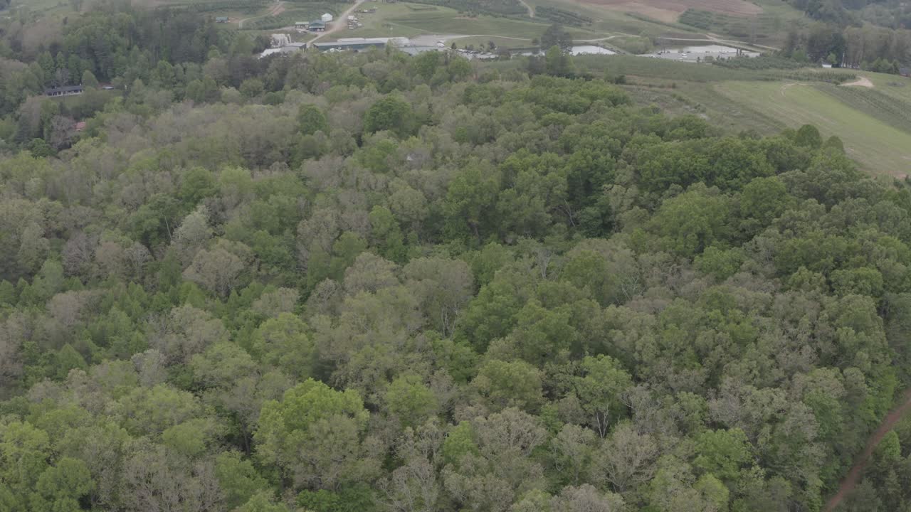 북쪽 조지아 산의 상승 조감도