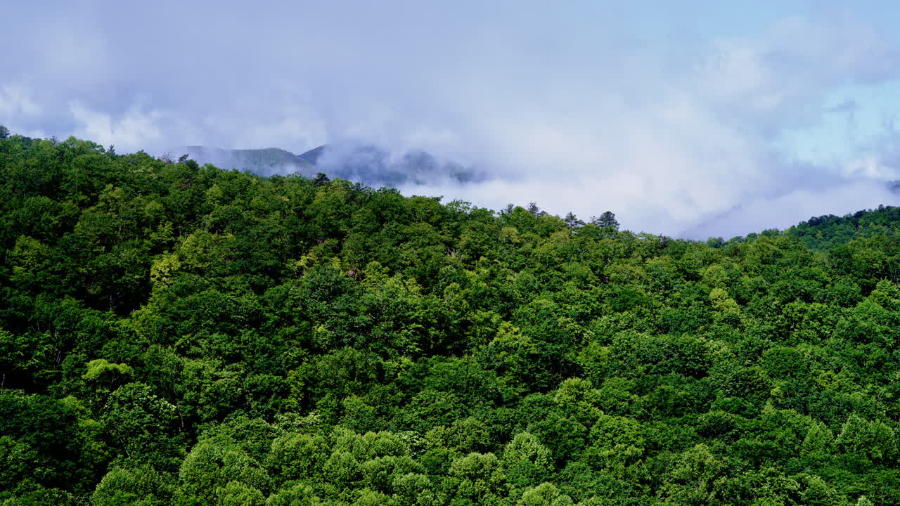 Cinematic aerial view immersing into fog layers