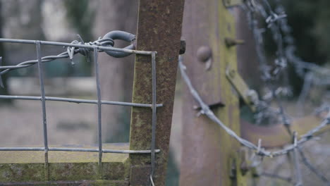 old barbed wire fence