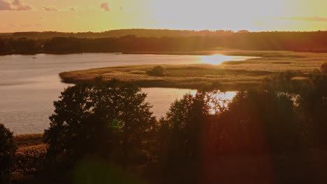 sunset over a tranquil lake with trees and grassland