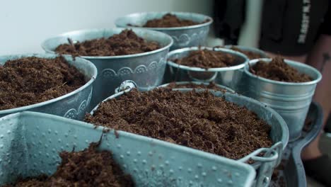 the buckets are being filled with soil, as it is spread and dispersed evenly throughout each container