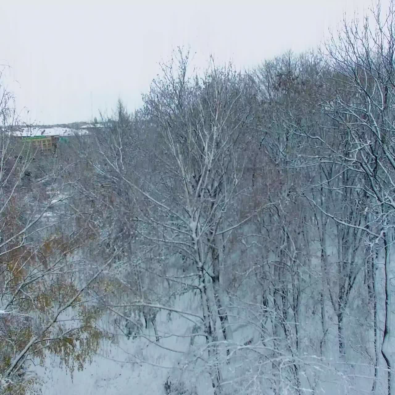 Heavy branches of trees covered with snow hanging over the path in the park. Drone ascending over the city in winter