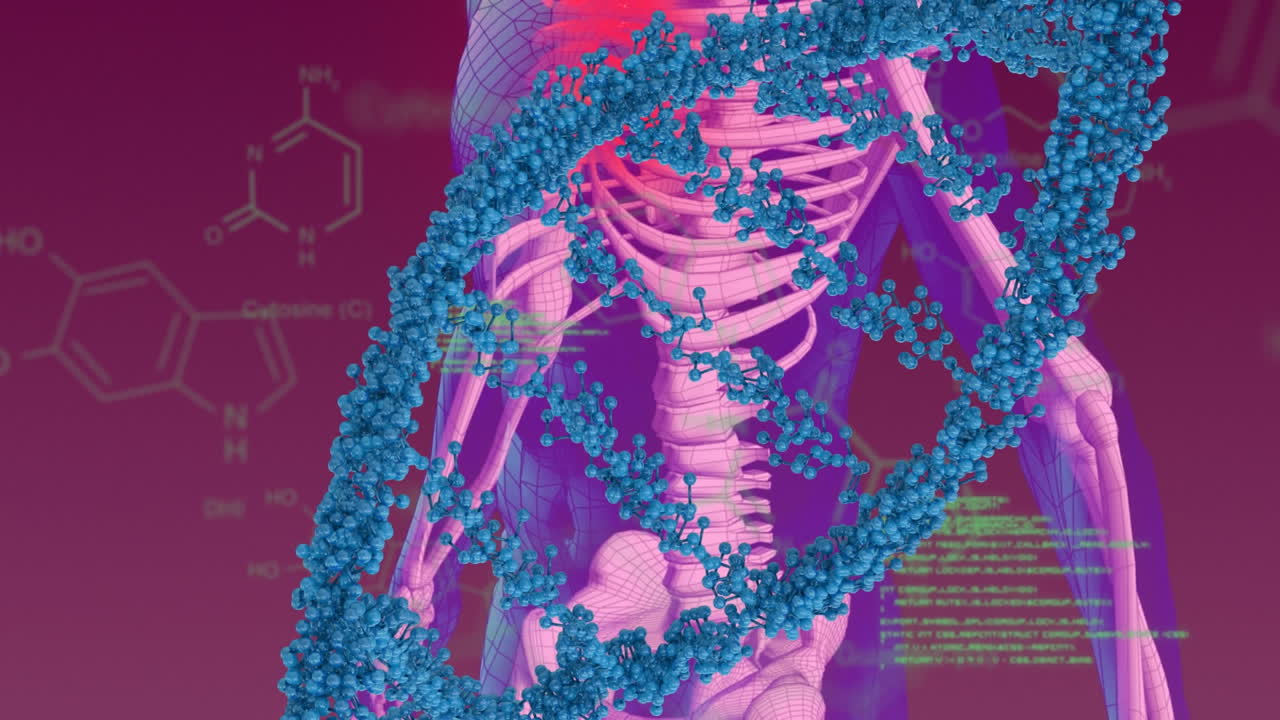 dna 가닥과 디지털 인간 화학 공식의 애니메이션 보라색 배경에