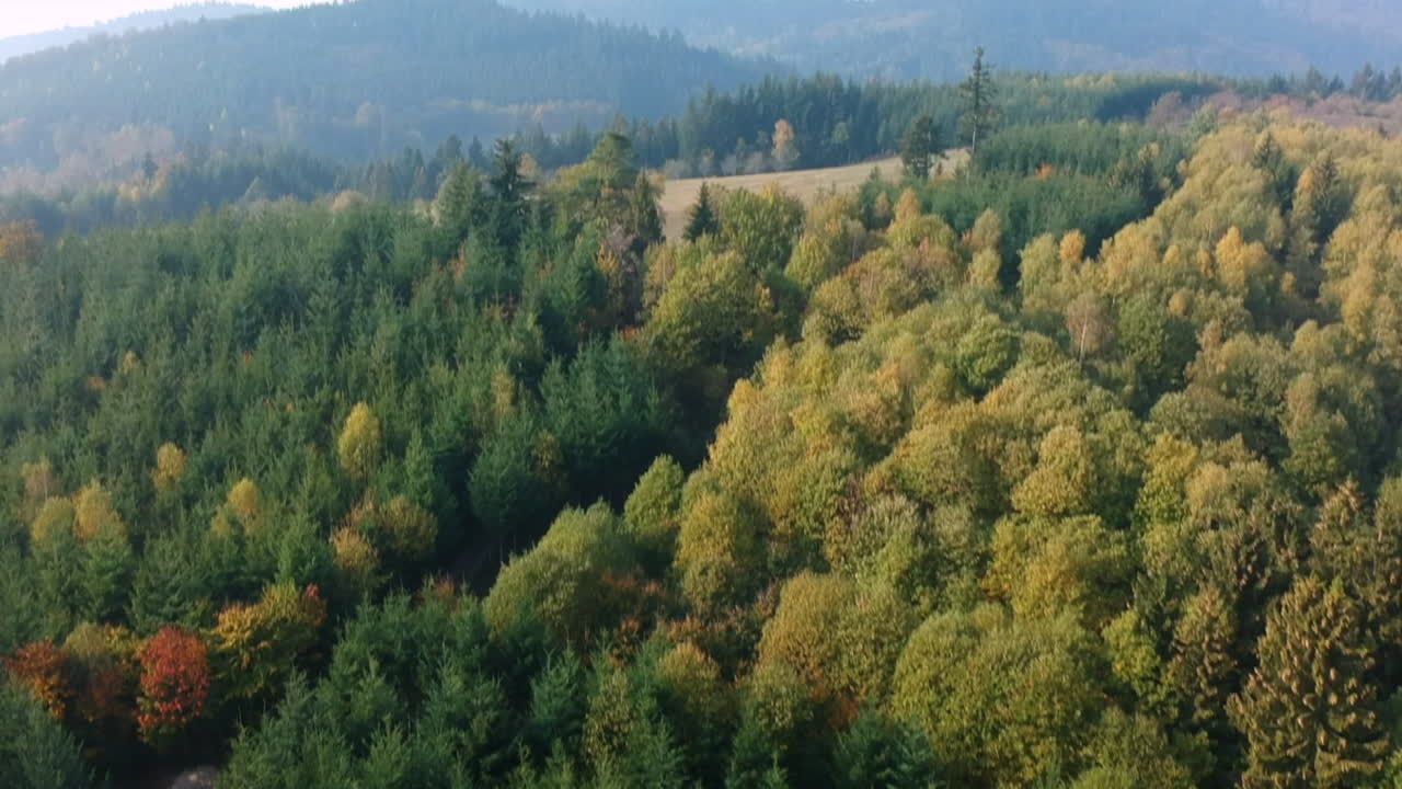 inclinación vista aérea de la selva negra durante el otoño, alemania