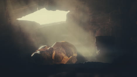 a head of the giant ancient deity statue hidden in a cave
