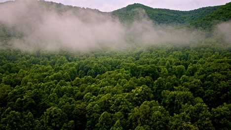 drone flies above the moody landscape of the smokies.