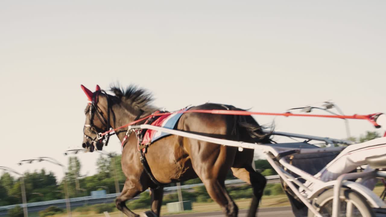 Horse chariot race in Ottawa, Ontario, Canada