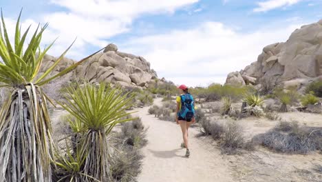 Junge-Frau-Spaziert-Im-Joshua-Tree-Nationalpark,-Kalifornien,-USA