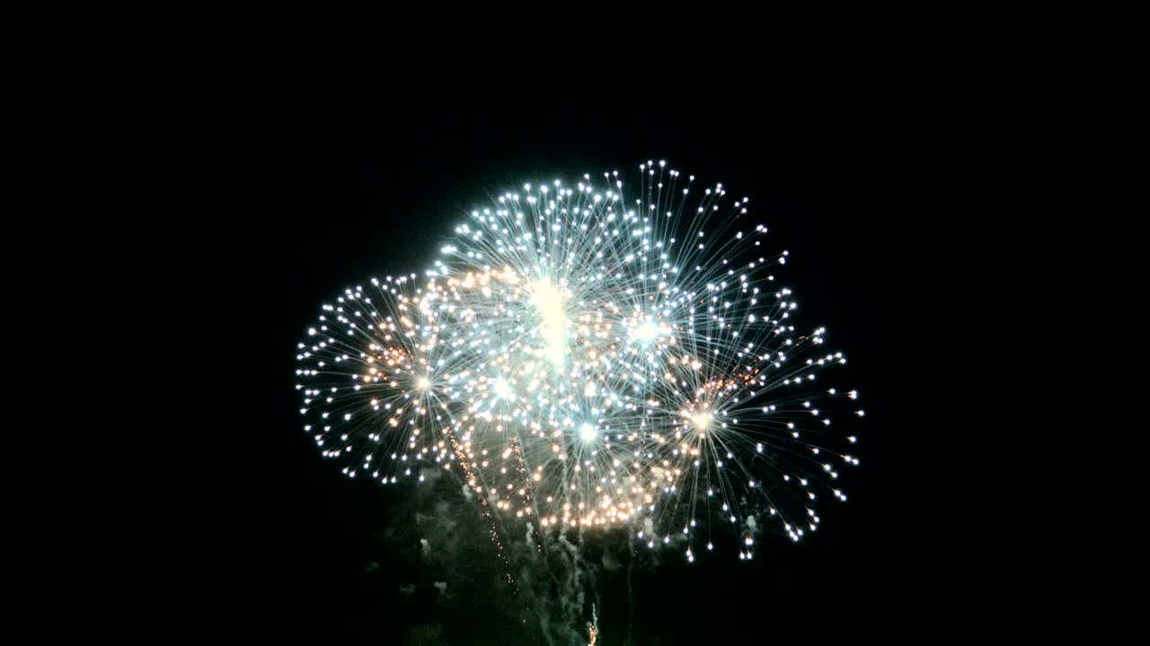 축제 불꽃놀이 폭발과 어두운 배경에서 빛나는 어과 곡물 가공