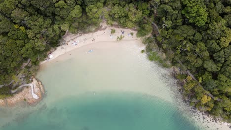 Private-beach-and-hidden-walking-tracks-along-a-lush-coastal-headland-with-blue-ocean-water