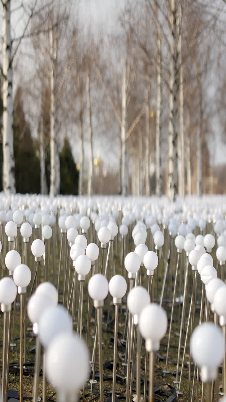 Light Installation in Winter Field