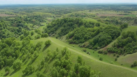 beautiful green hills in deliblato sands, pescara serbia, 4k aerial view