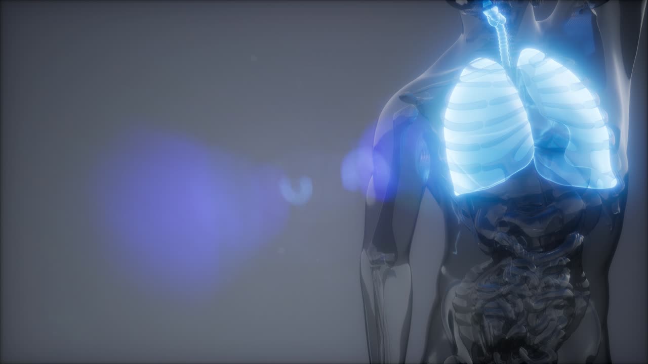 인간의 폐 방사선 검사