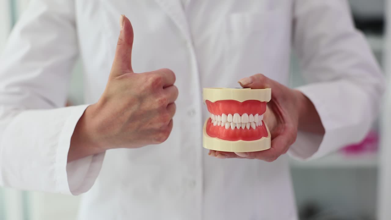 Dentist Showing Model Dentures
