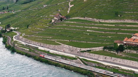 tracking shot of train and vineyards near lake geneva, switzerland